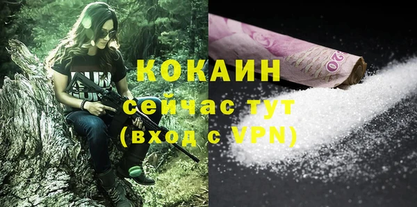 соль ск Каменка