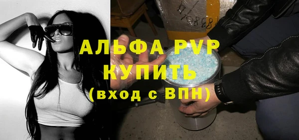 PSILOCYBIN Инсар