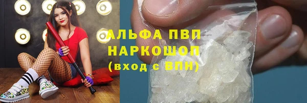 соль ск Каменка