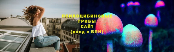 соль ск Каменка