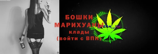 соль ск Каменка