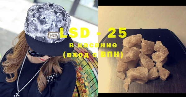 PSILOCYBIN Инсар