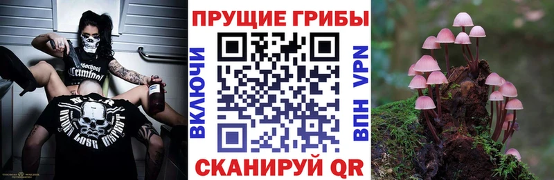 Галлюциногенные грибы GOLDEN TEACHER  Козловка 